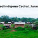 Juradó: enfrentamientos entre el Clan del Golfo y el ELN en El Cedral