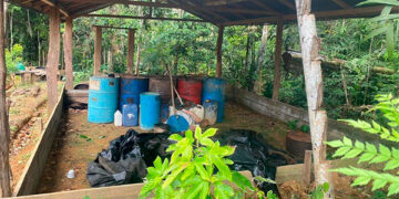 Carmen del Darién: destruyen siete laboratorios de coca