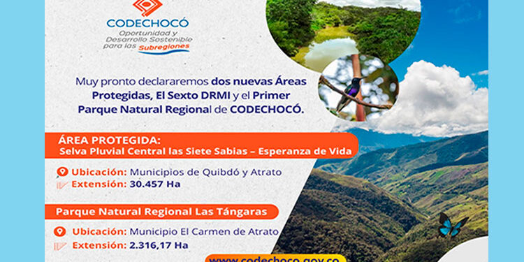 Codechocó declarará dos nuevas áreas protegidas