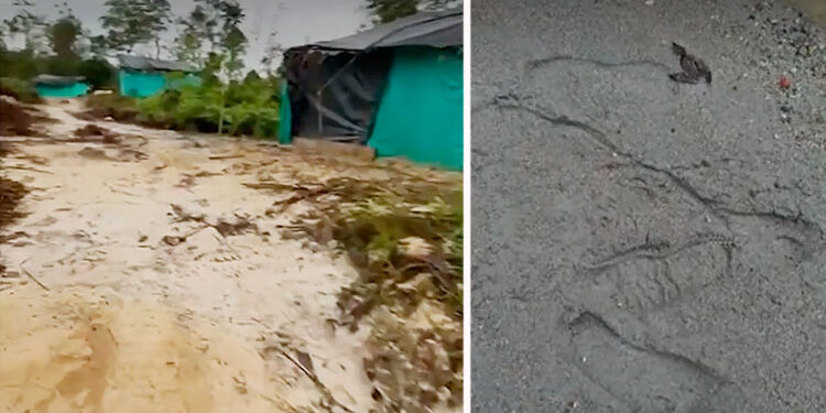 Encuentran rastros de los dos funcionarios secuestrados en el Chocó