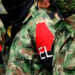 El ELN anuncia nuevo paro armado en el ChocóEl ELN anuncia nuevo paro armado en el Chocó