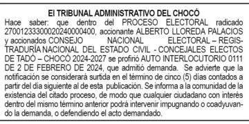 tribunal-admite