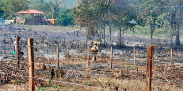 Controlan incendio forestal en Unguía