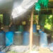 Destruyen laboratorio de coca en zona rural de Istmina