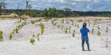 Apuesta por la formalización minera en el Chocó