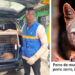 Recuperan un zorrillo perro en Quibdó