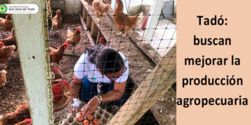 Tadó: buscan mejorar la producción agropecuaria