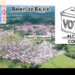 Junio 9 de 2024: elecciones de alcalde y concejo en Nuevo Belén de Bajirá, Chocó
