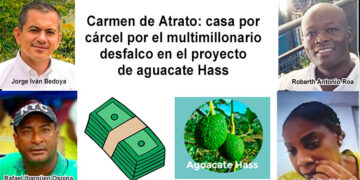 Carmen de Atrato: casa por cárcel por el multimillonario desfalco del proyecto de aguacate Hass