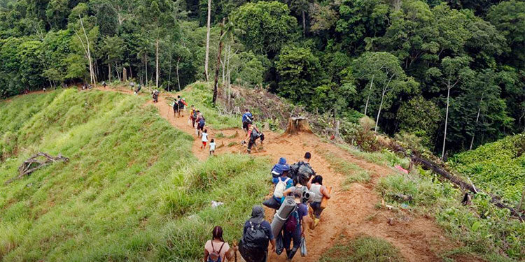 Analizan construcción de vía entre Acandí y la frontera con Panamá