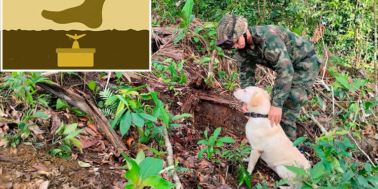 Litoral de San Juan: destruyen dos artefactos explosivos en comunidad indígena de San Cristóbal