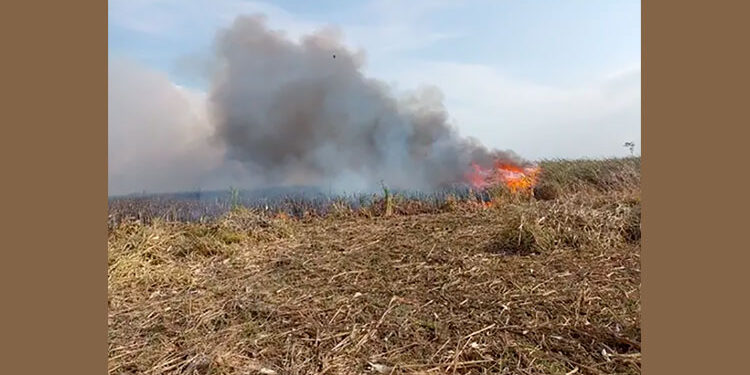 Unguía: incendio forestal avanza hasta el Parque Nacional Natural Los Katíos
