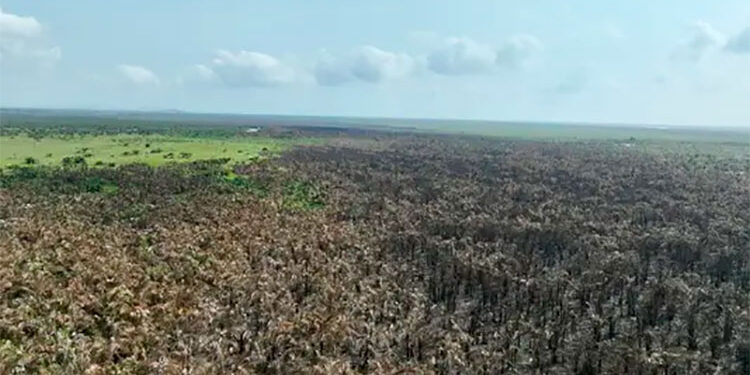 Codechocó prohíbe quemas e investiga responsables del incendio en Unguía