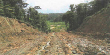 Vía Sipí-Cajón, ¿otro desfalco en el Chocó?