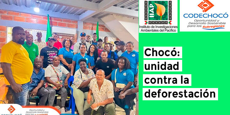 Chocó: unidad para reducir la deforestación