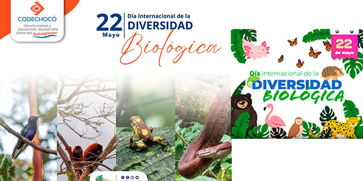 Día Internacional de la Diversidad Biológica