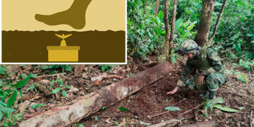 Doce artefactos explosivos destruidos en dos semanas en área rural del Chocó