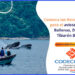 Recomendaciones para el avistamiento de especies marinas