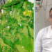 Venadillo del Chocó, la planta con potencial farmacéutico