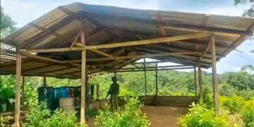 Destruyen seis laboratorios de coca en Carmen del Darién