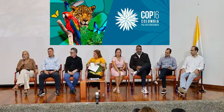 Codechocó y la COP16