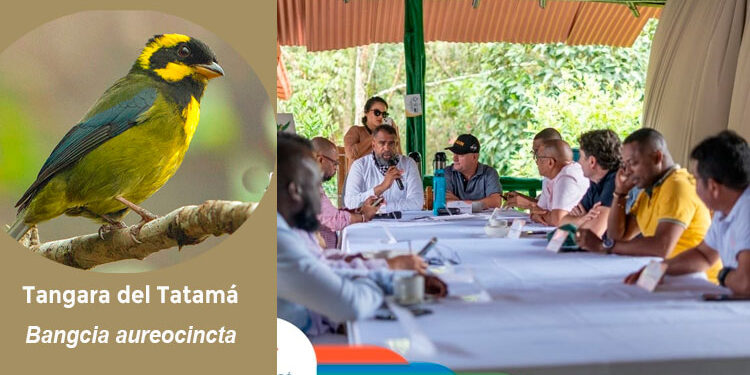 Lanzamiento del Parque Natural Regional Las Tángaras