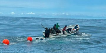 Bahía Solano: liberan otra ballena atrapada en un trasmallo