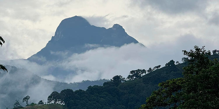 Chocó: Un santuario de biodiversidad global y pobreza local