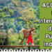 Día Internacional de los Pueblos Indígenas