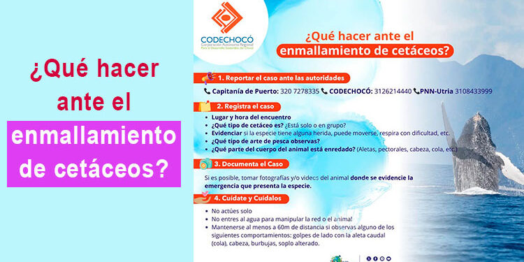 enmallamiento