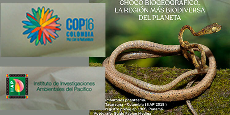 IIAP: aporte comunitario a la COP16