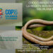 IIAP: aporte comunitario a la COP16