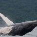 La biodiversidad y sus realidades políticas