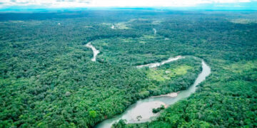 Quibdó y Atrato tienen área protegida: DRMI Selva Pluvial Central Siete Sabias - Esperanza de Vida