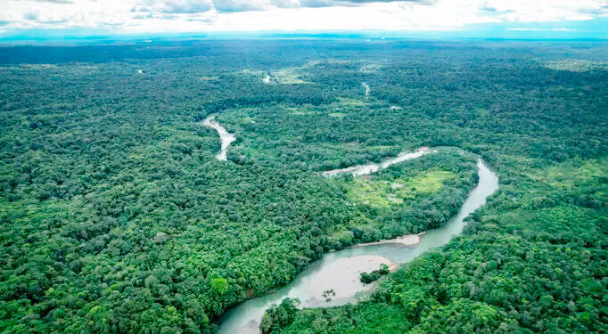 Quibdó y Atrato tienen área protegida: DRMI Selva Pluvial Central Siete Sabias - Esperanza de Vida