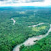Quibdó y Atrato tienen área protegida: DRMI Selva Pluvial Central Siete Sabias - Esperanza de Vida