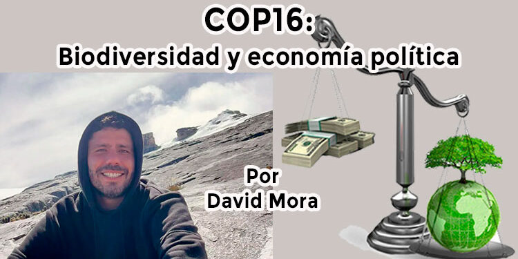 COP16: Biodiversidad y economía política Por David Mora