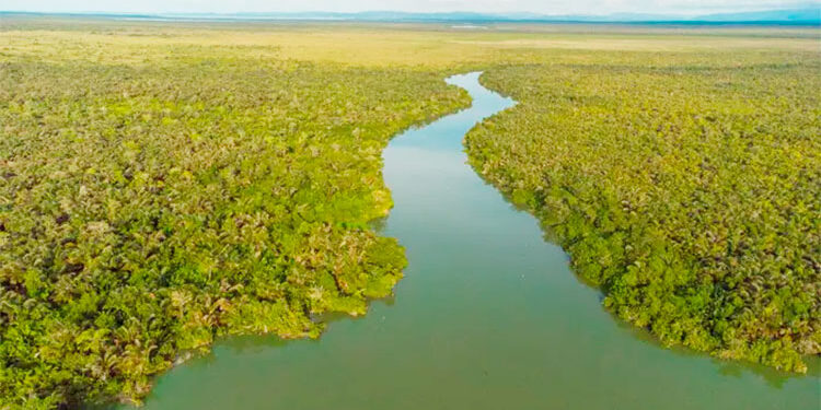 Codechocó está presente en la COP16