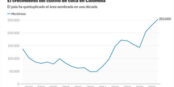 Producción de coca en Colombia creció 53% y el Chocó es zona de expansión: ONU