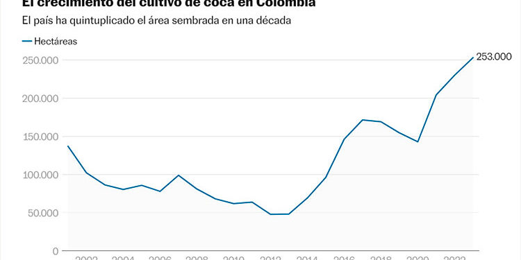 Producción de coca en Colombia creció 53% y el Chocó es zona de expansión: ONU