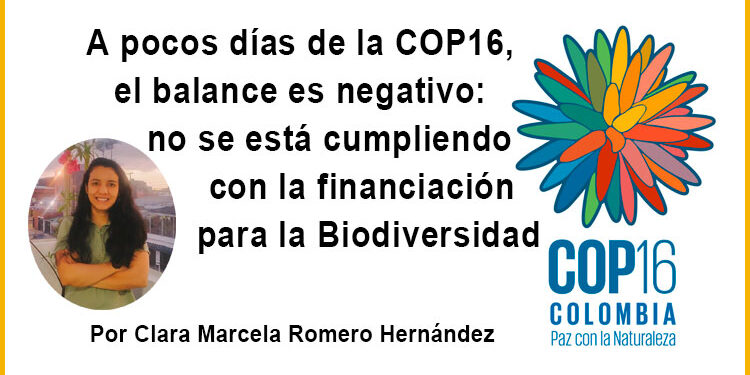 A pocos días de la COP16, el balance es negativo: no se está cumpliendo con la financiación para la Biodiversidad