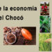 Más de la economía del Chocó