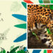 IIAP: COP16
