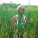 Mujer de El Valle, Bahía Solano, Chocó cosechando arroz.