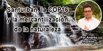 Santurbán, la COP16 y la mercantilización de la naturaleza