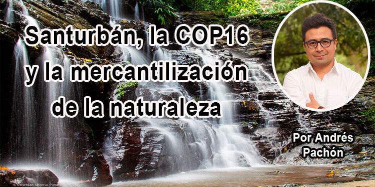 Santurbán, la COP16 y la mercantilización de la naturaleza