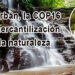Santurbán, la COP16 y la mercantilización de la naturaleza