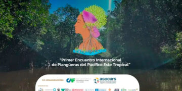 Codechocó liderará el primer encuentro internacional de mujeres piangüeras