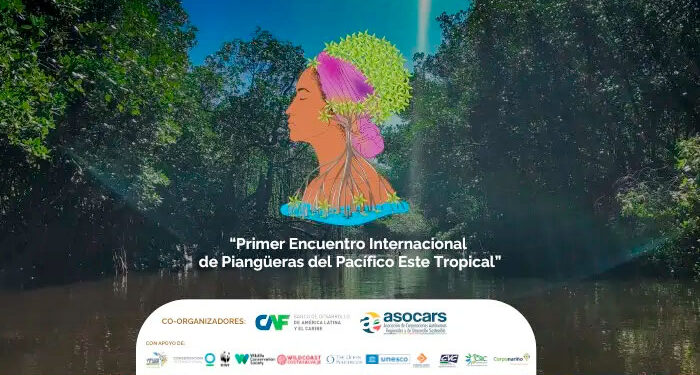 Codechocó liderará el primer encuentro internacional de mujeres piangüeras