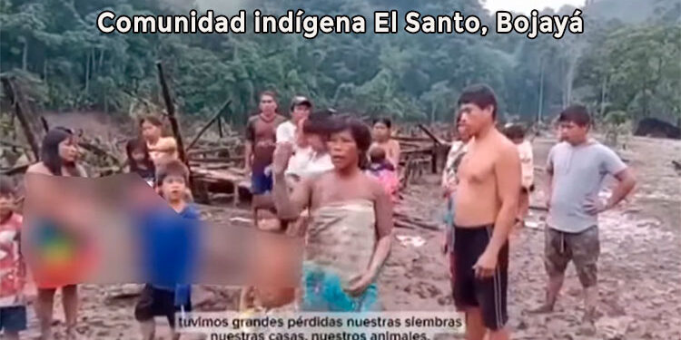 Quedamos sin nada: El Santo, Bojaya.